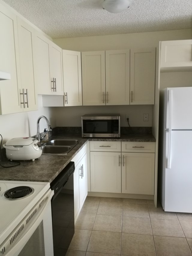 Downtown两室一卫公寓诚招室友