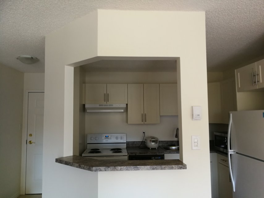 Downtown两室一卫公寓诚招室友 - 3