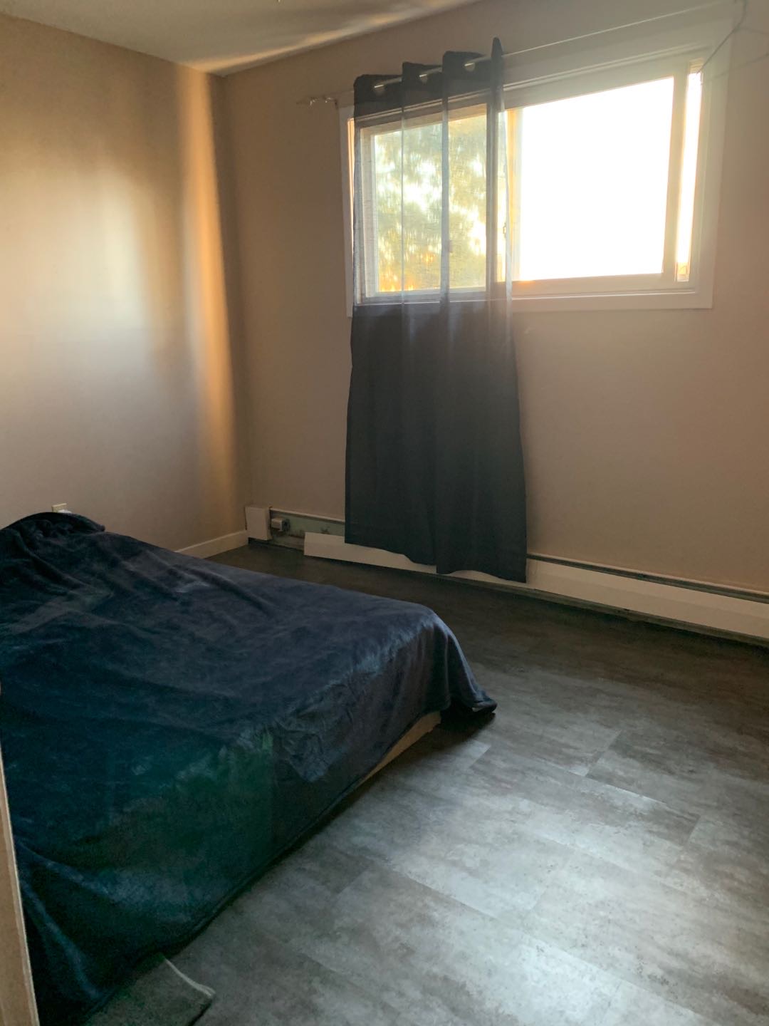 东区 公寓单间房间 找租友