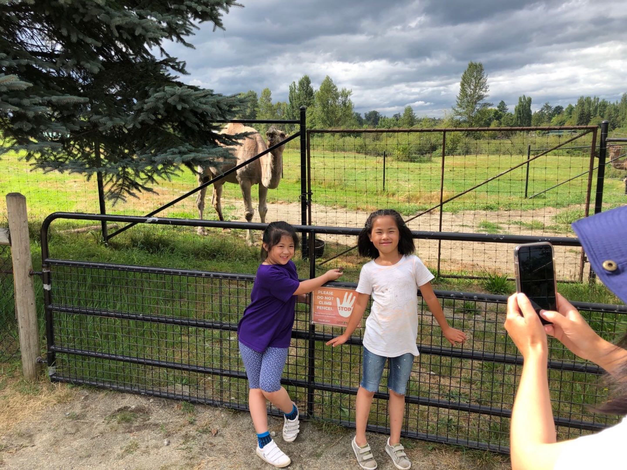 我想租个房子 - 3