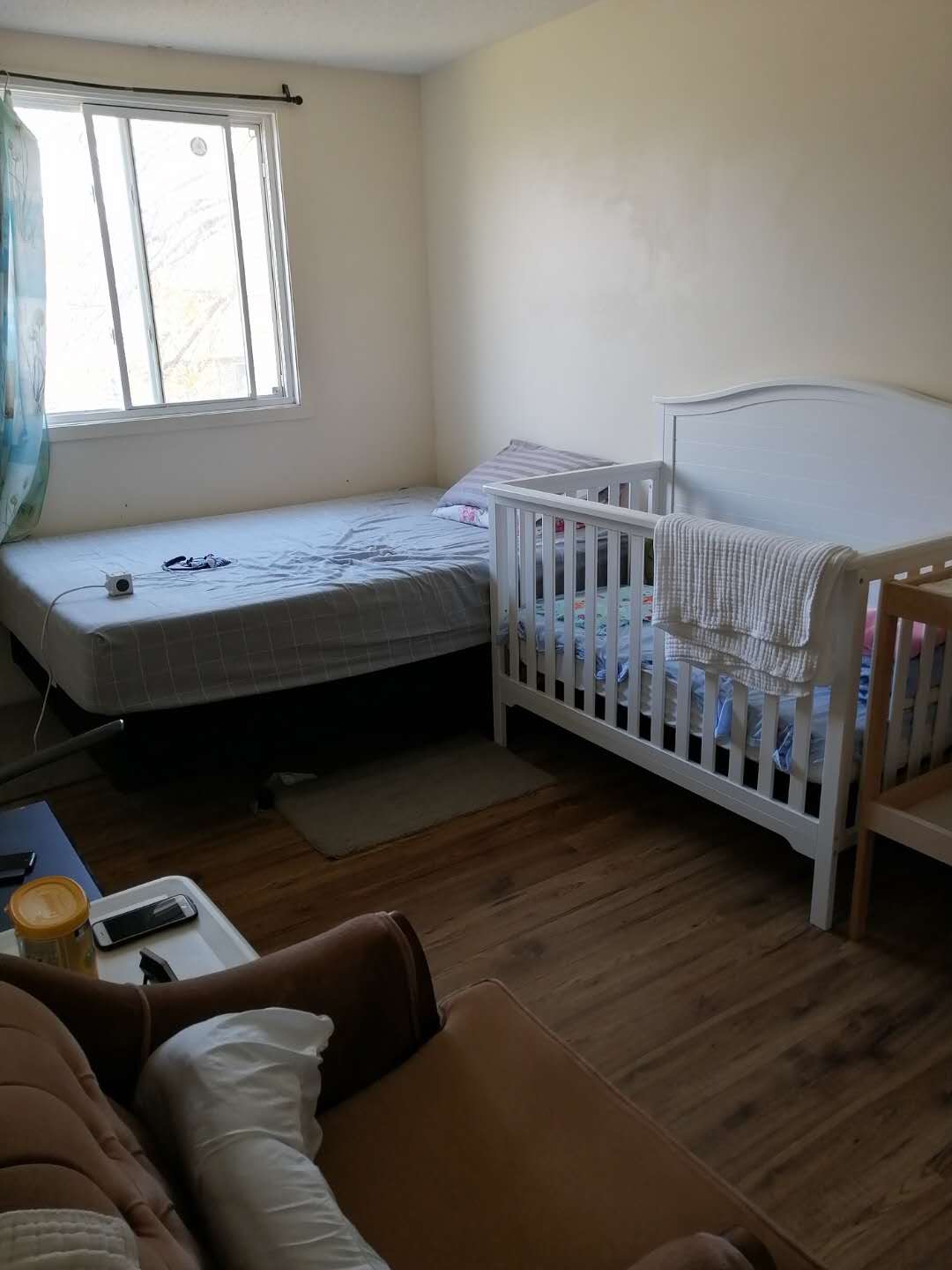 里贾纳大学附近房屋出租 - 5