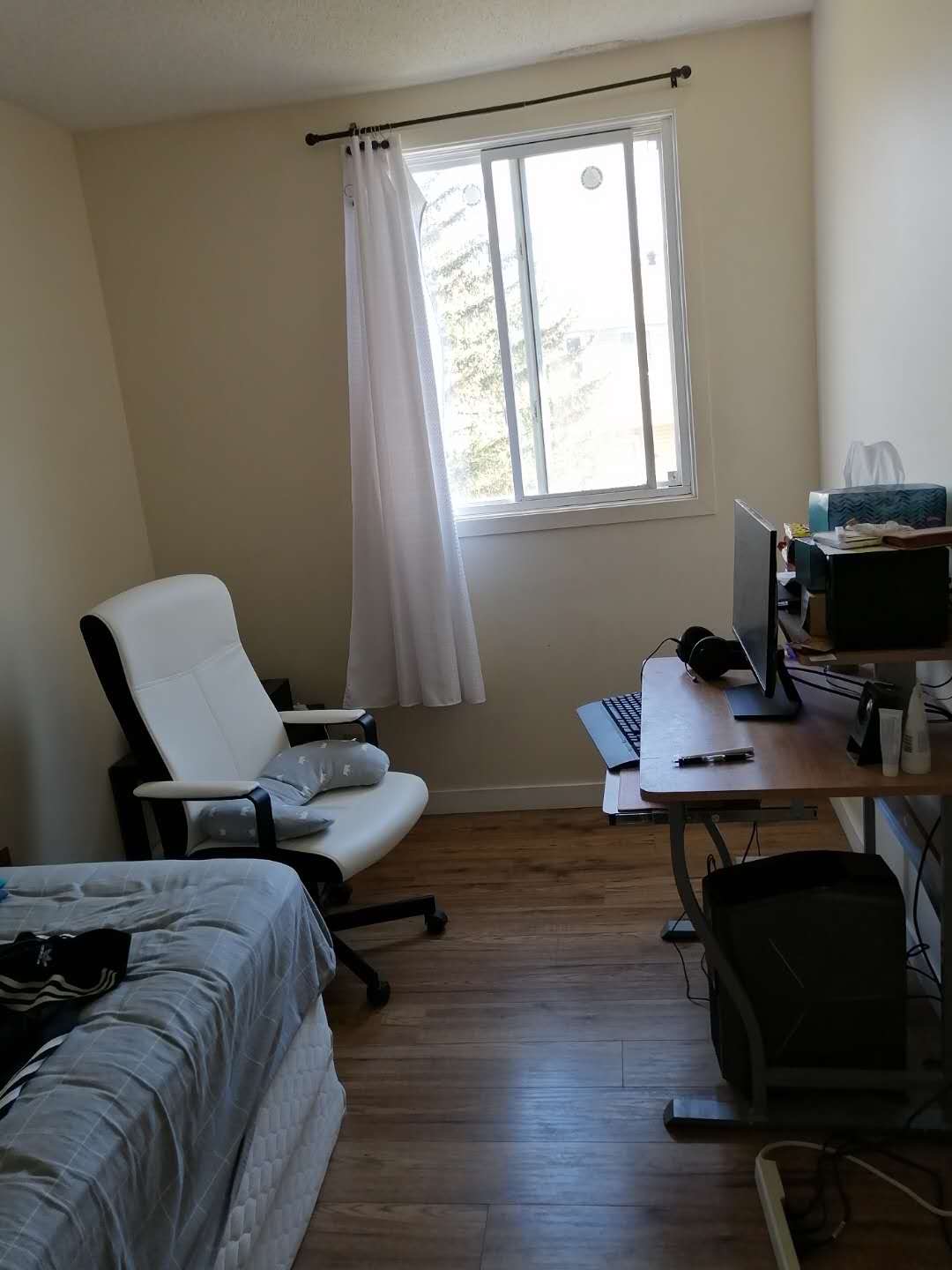 里贾纳大学附近房屋出租 - 3