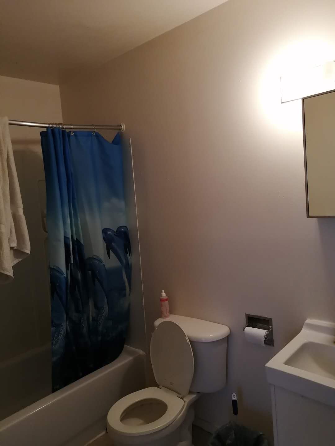 里贾纳大学附近房屋出租 - 2