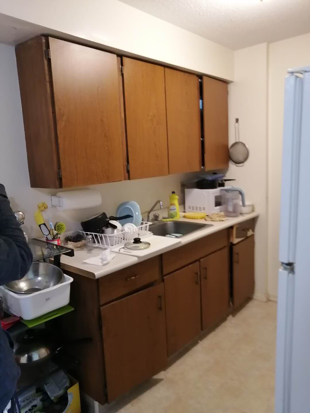 里贾纳大学附近房屋出租 - 6