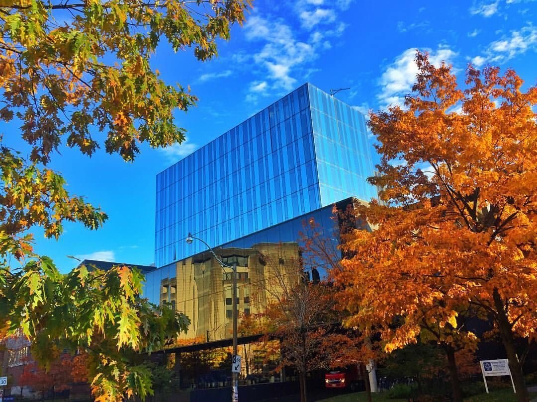 【讲座邀请】加拿大酒店管理专业分析讲座