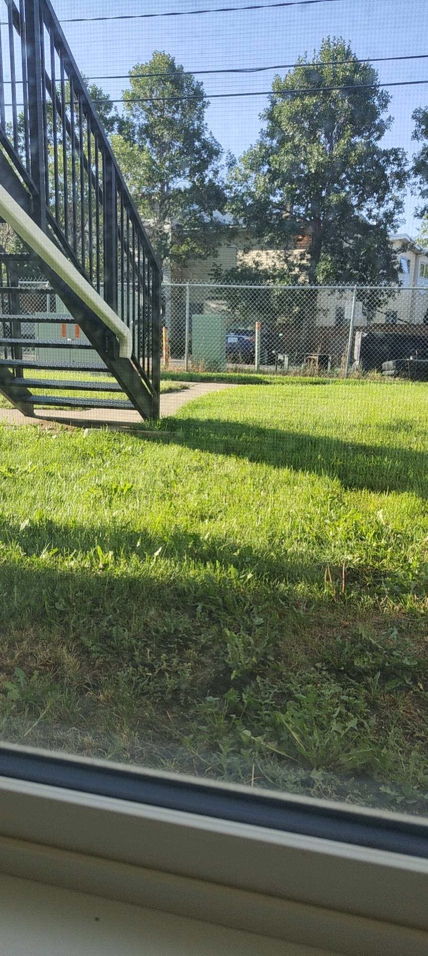 近里贾纳大学，boardwalk，寻找室友 女生 650刀每月，包水，网，暖气!!! - 2