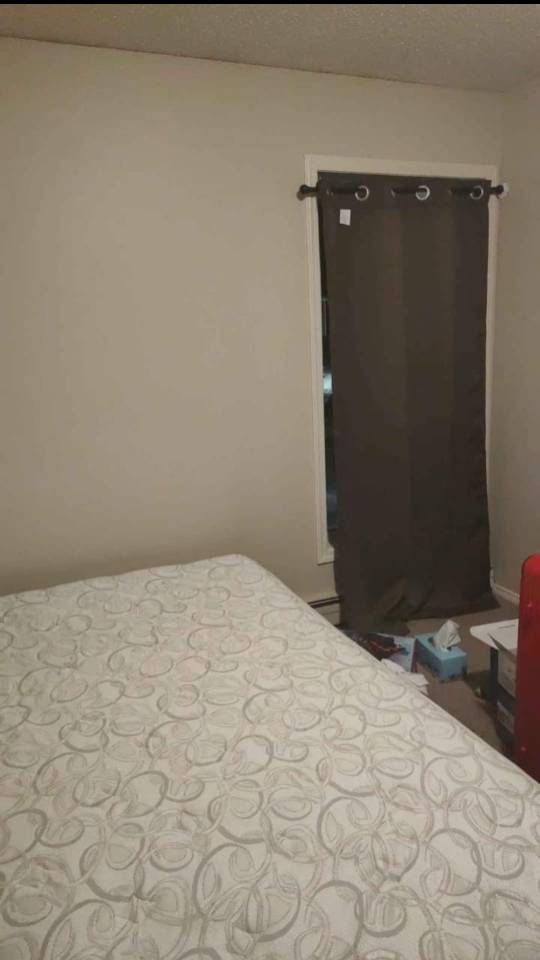 里贾纳大学附近，走路10分钟可到，找室友 - 3