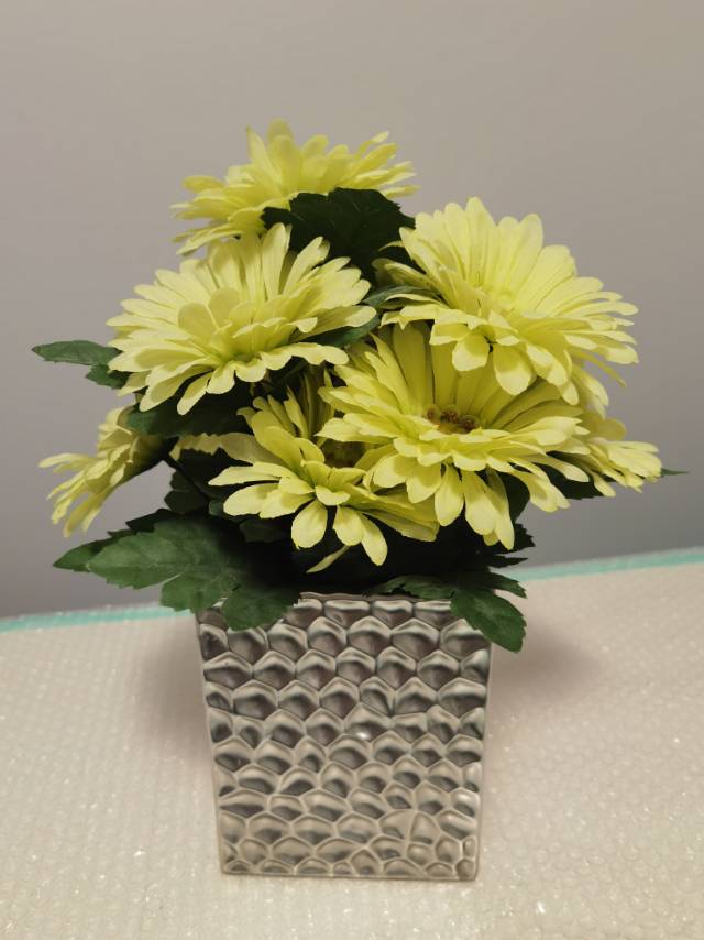 装饰盆栽