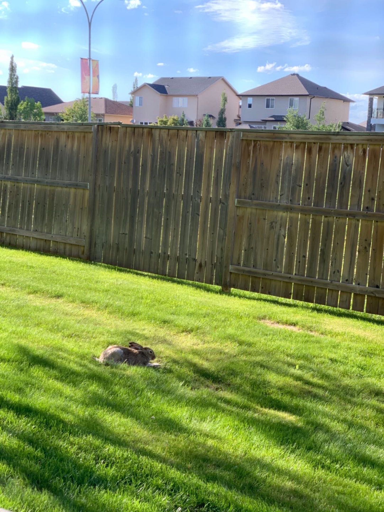 寻出租房屋短租1个月