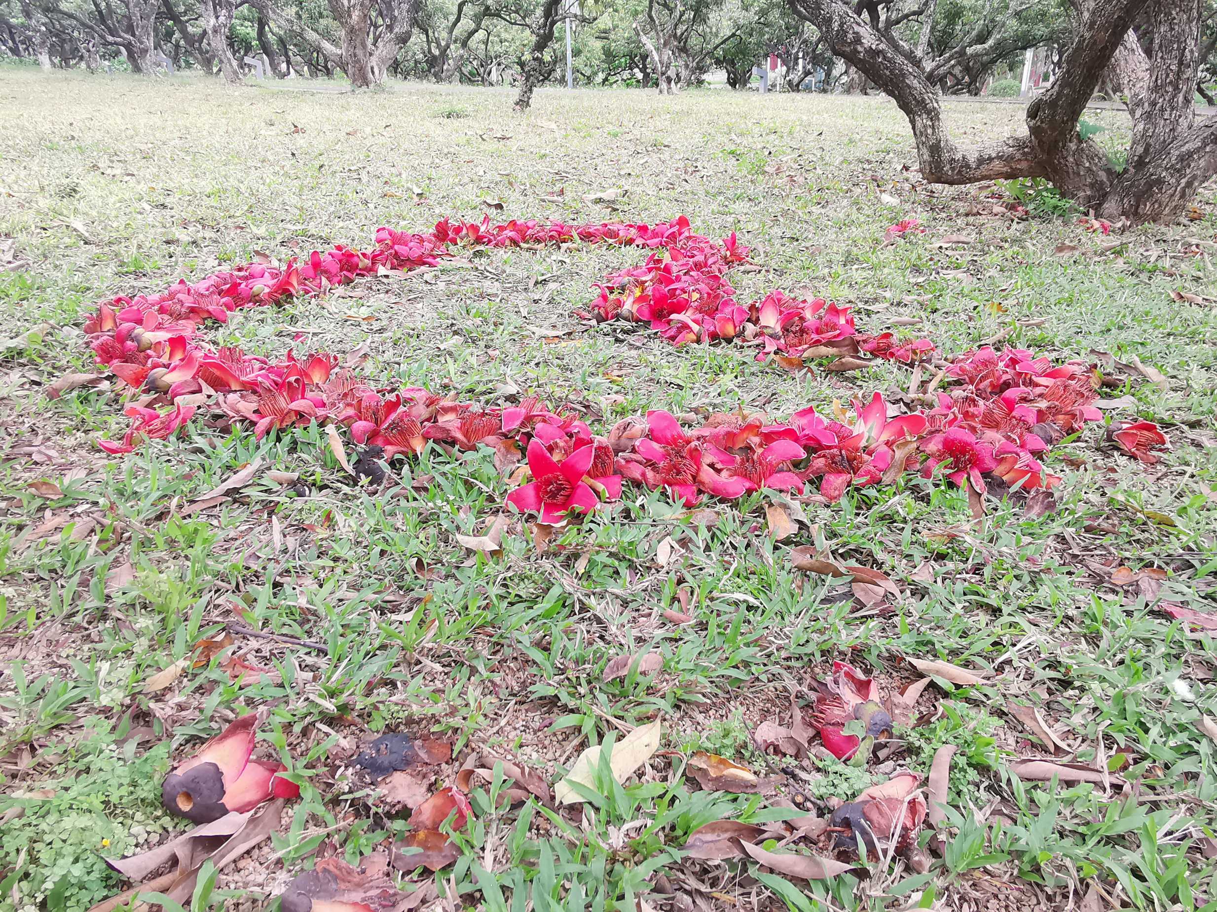 求长租5月或者6月或者7月开始可以长租的公寓