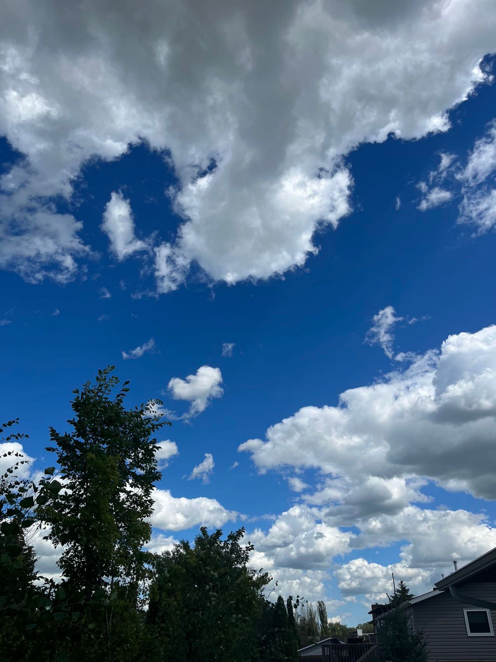 求租Stonebridge 和willow grove两室一厅公寓房