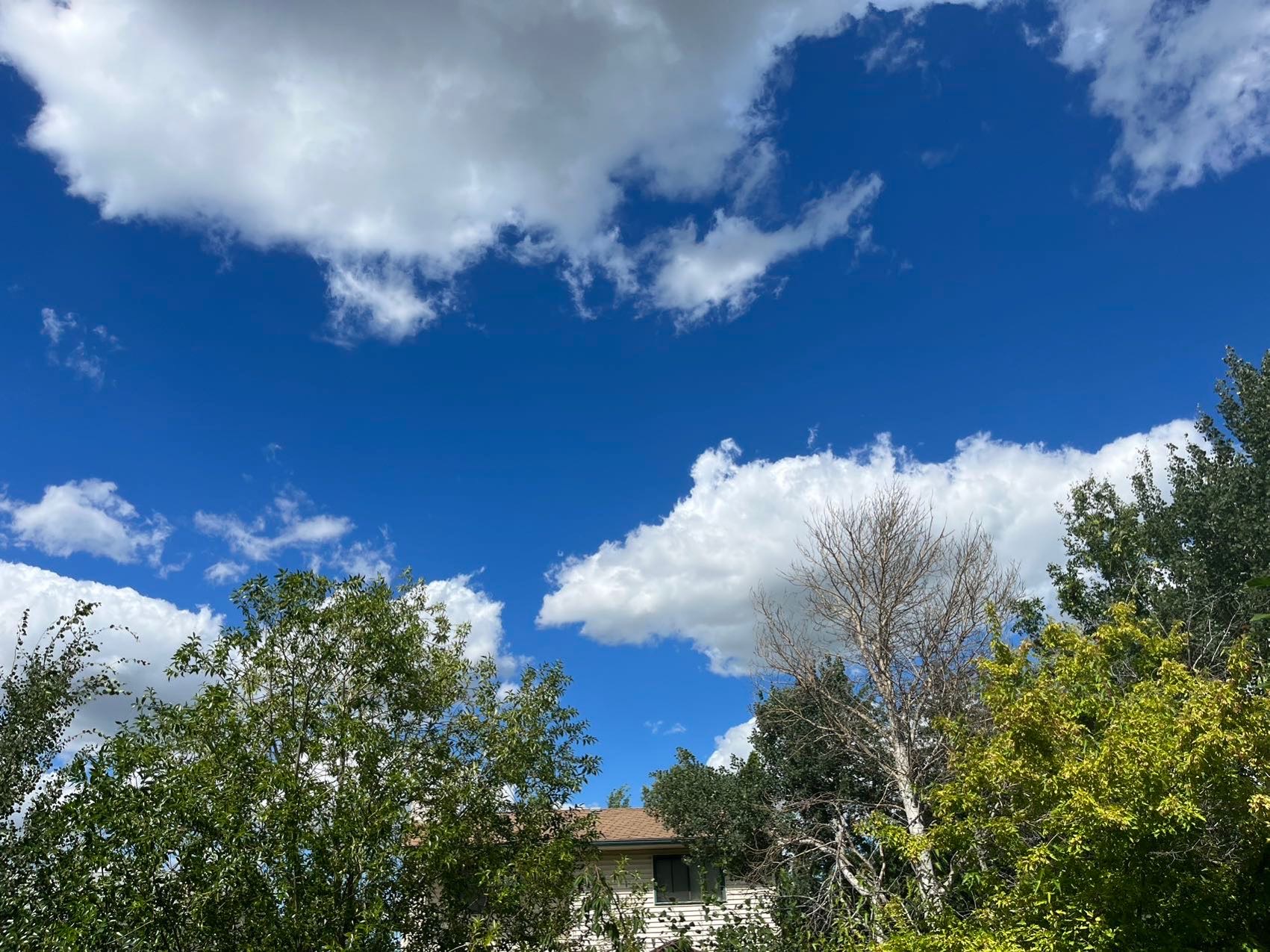 求租Stonebridge 和willow grove 两室一厅