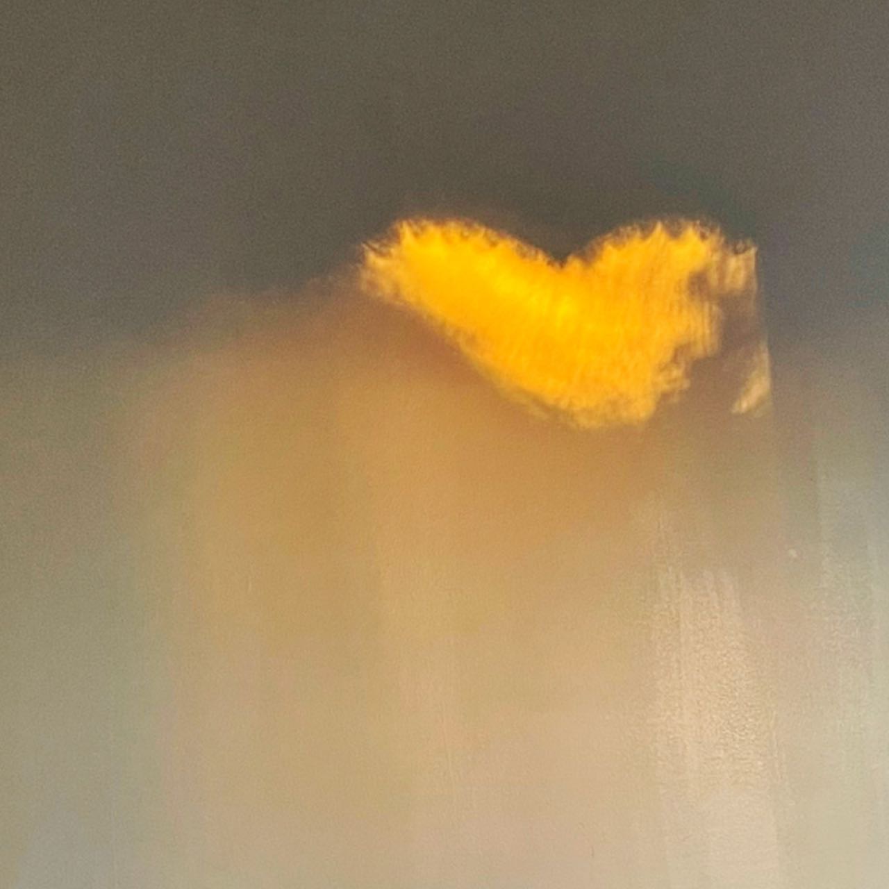 Willowgrove 独栋house楼上单间出租