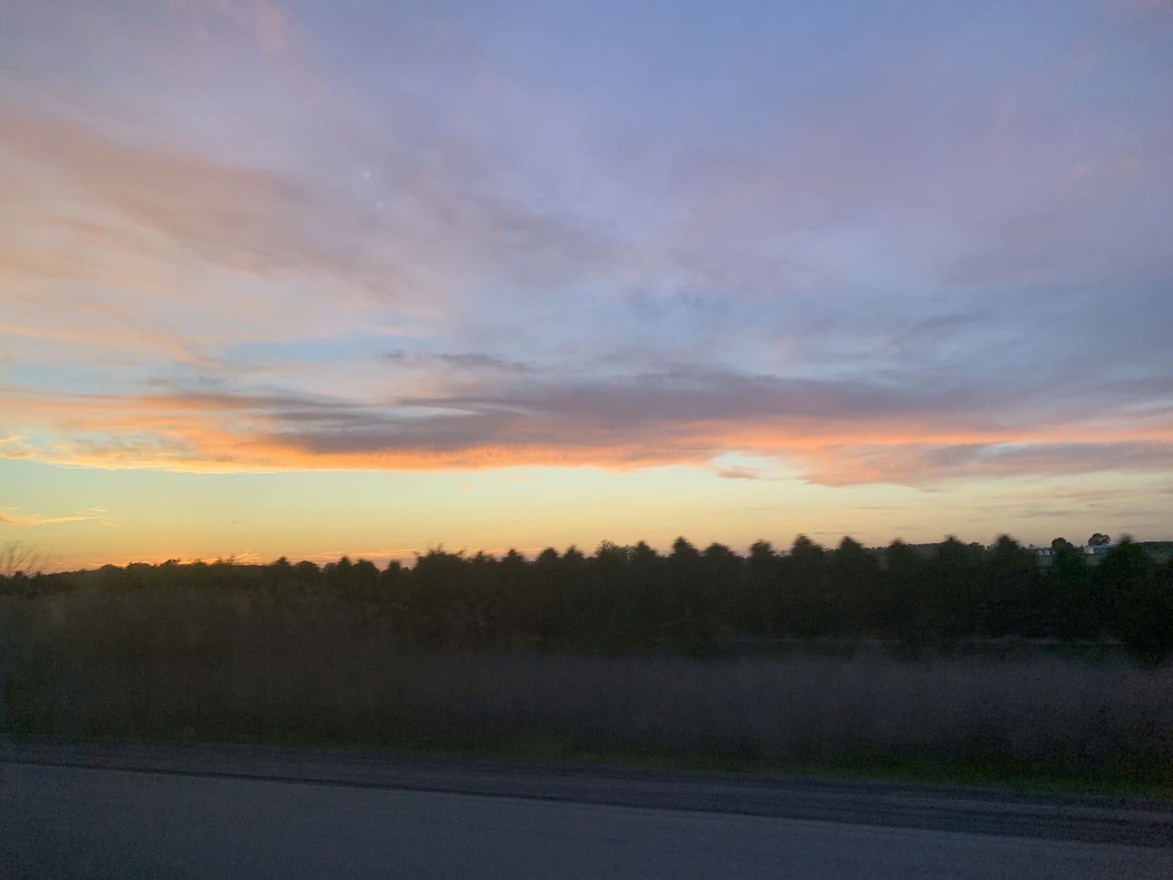 求租近萨大一室公寓 女生九月入住