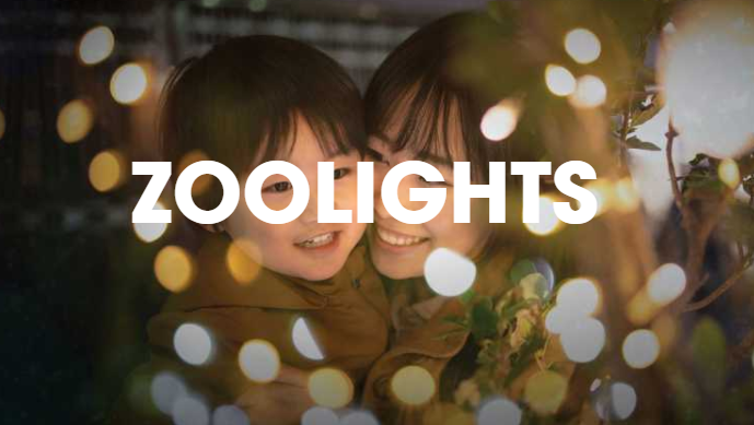 11月22--2020年1月4日卡尔加里动物园之光，“哈利波特”(HarryPotter)上演了