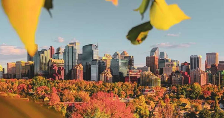 今年10月在卡尔加里有6个超级免费活动