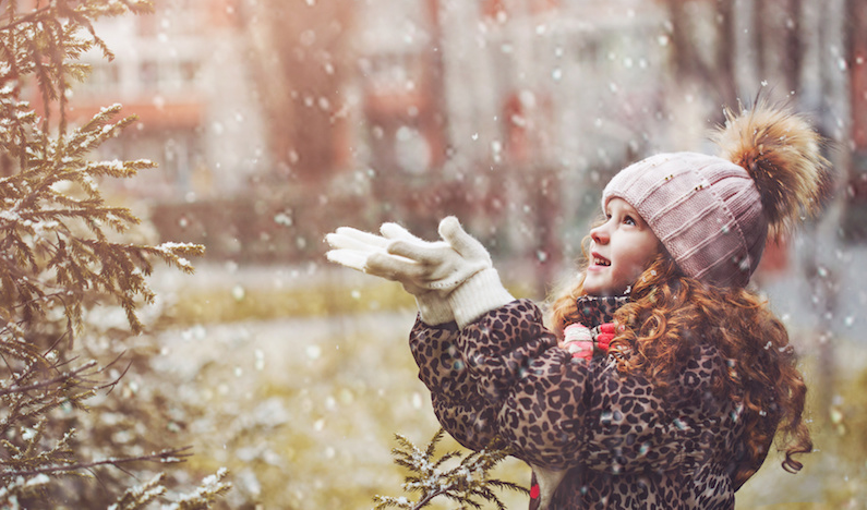 11月17日Winterfest at Ralph Klein Park