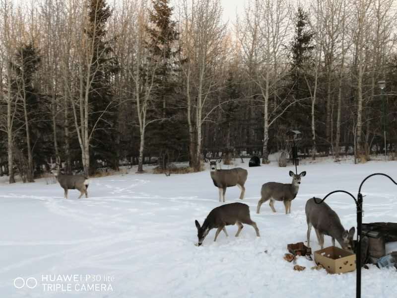 家庭旅馆， 精品民宿 - 6