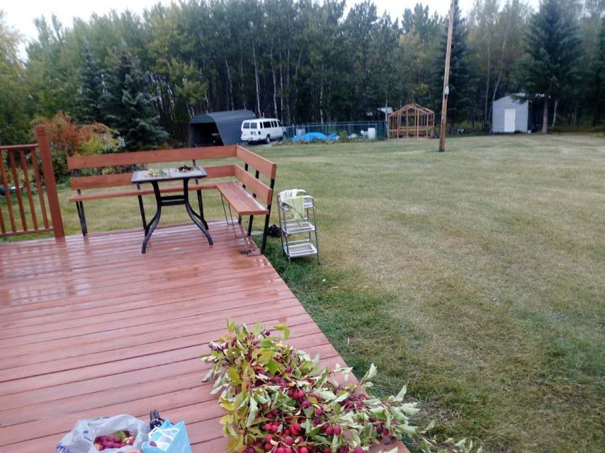 家庭旅馆， 精品民宿 - 2