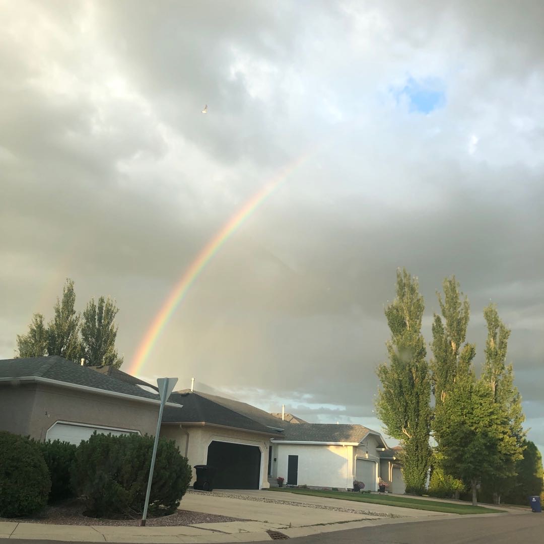 Erindale独栋house招女生室友啦