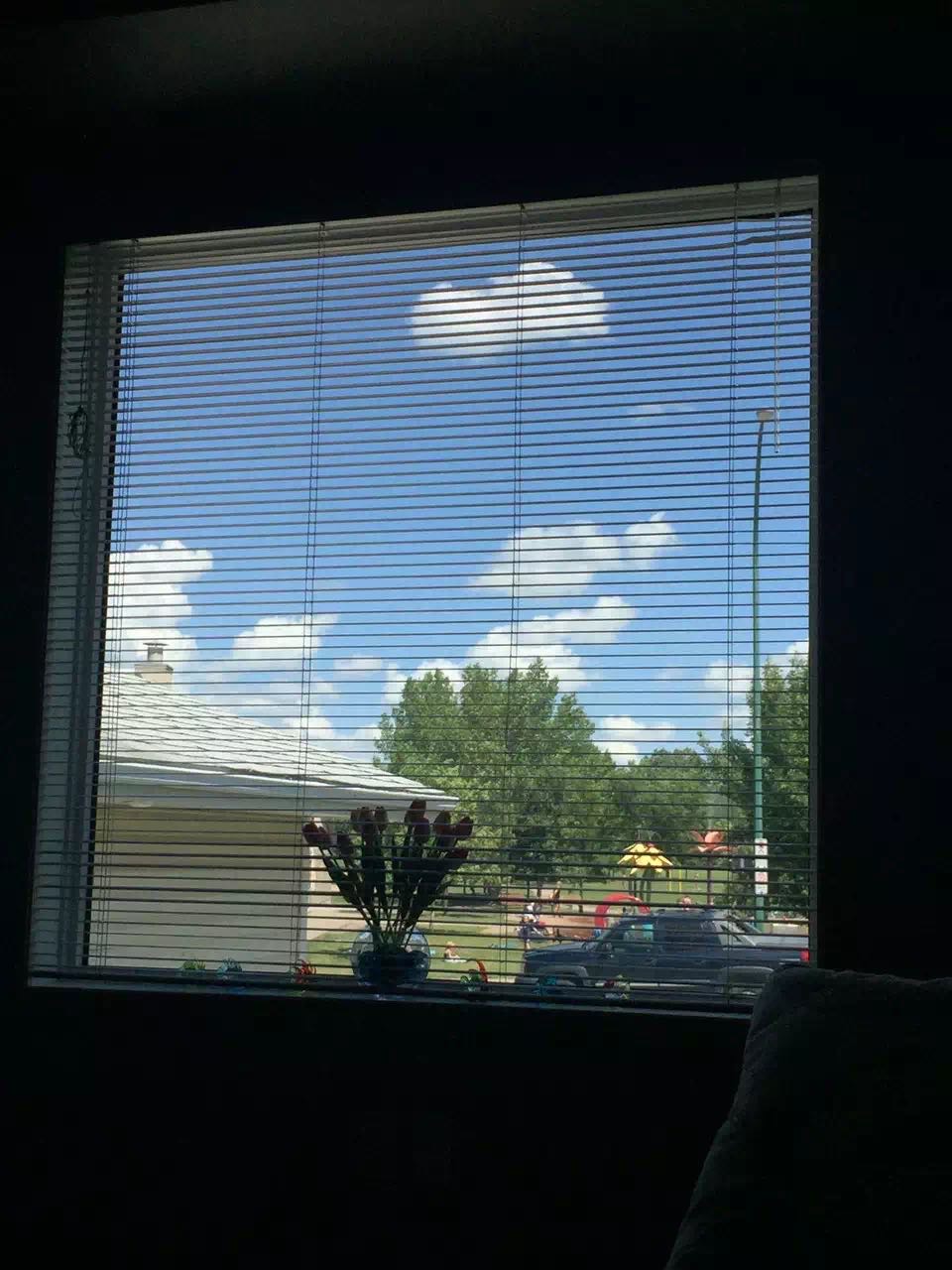 silverspring 学校门口景观房出租