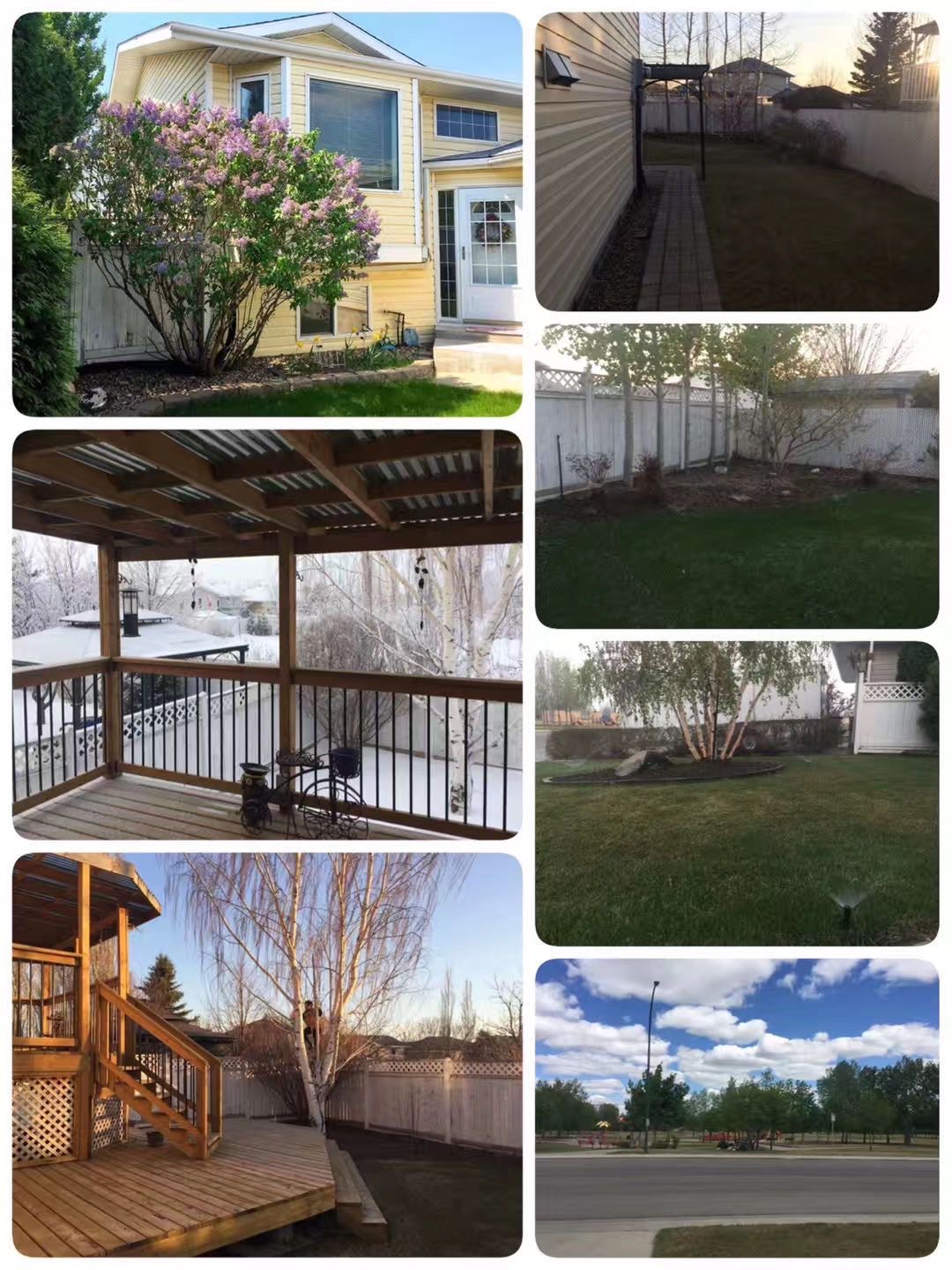 silverspring 学校门口景观房出租 - 3