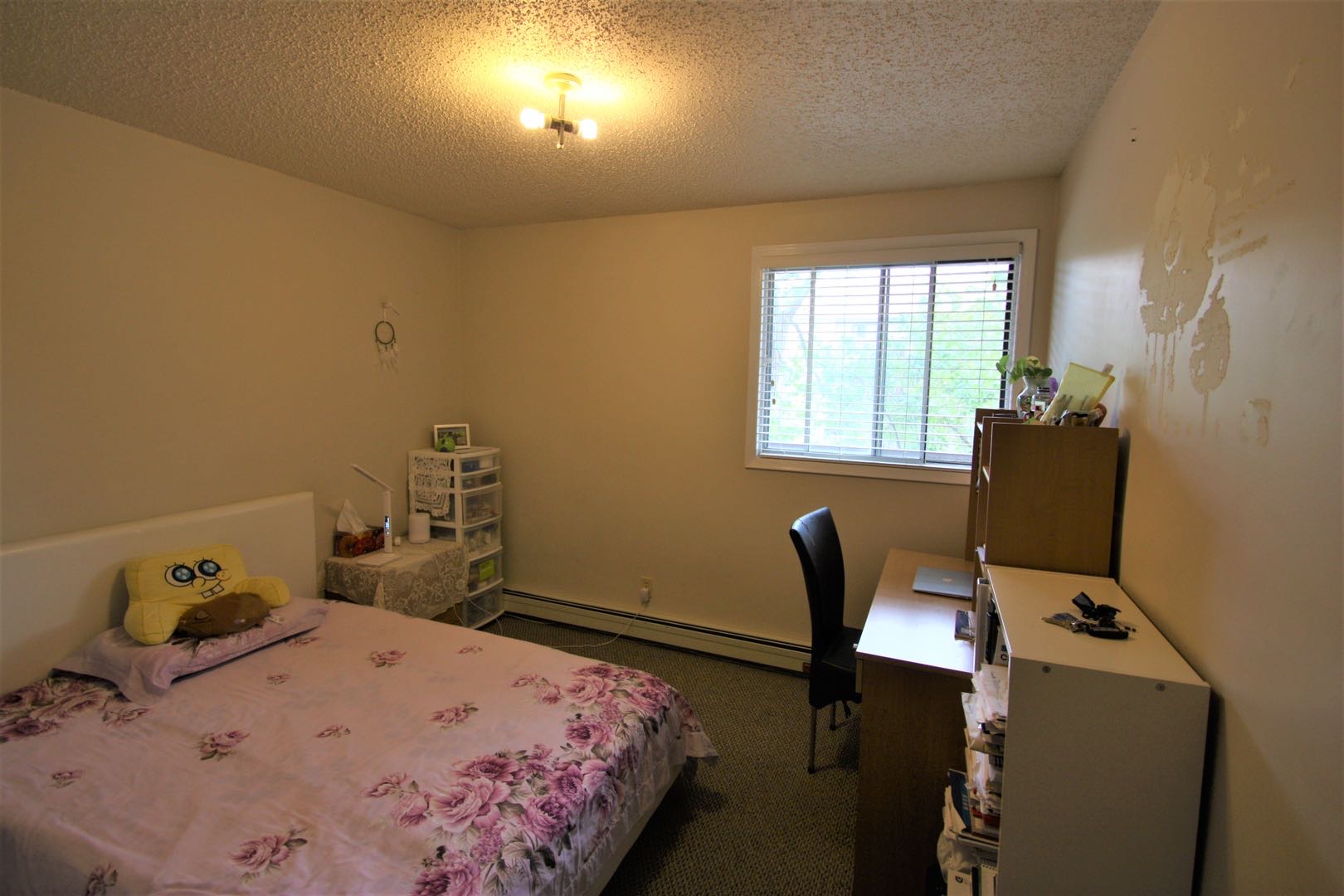 8街方便地段 干净整洁3房1卫1车位公寓出租。自带独立洗衣烘干机，大阳台带储物间，2楼。带家具 包水和暖气。$1300/月 一年起租约（不接受短租）不抽烟不养宠物。 - 8