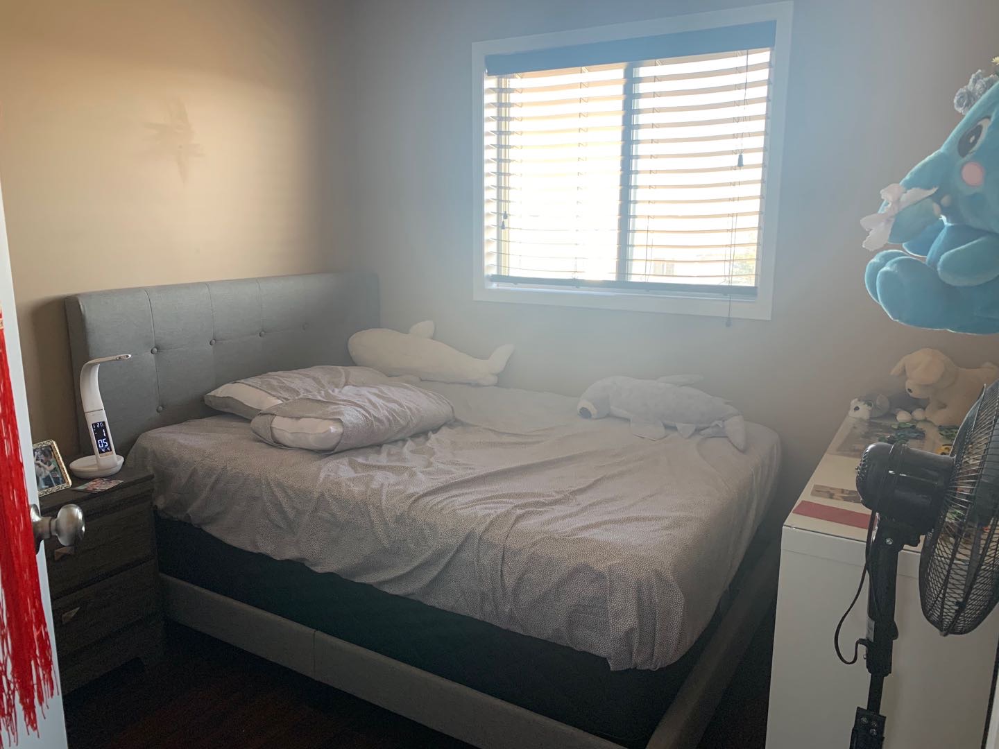 卡尔加里独立House 出租 - 2