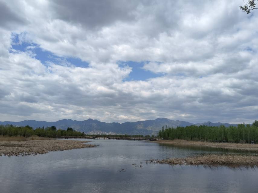 寻8月中下旬一室一厅带家具公寓。