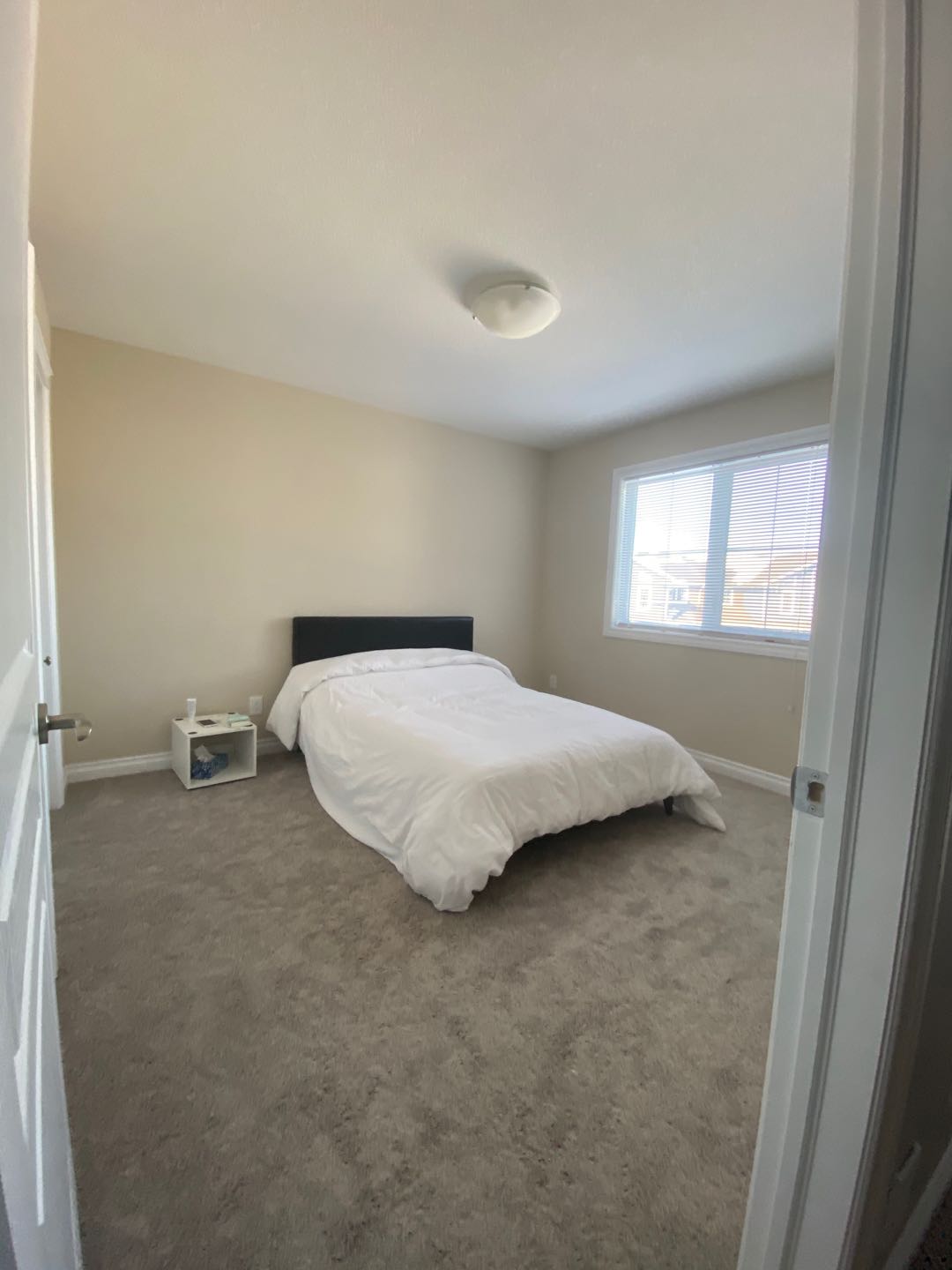 Evergreen 1800尺豪华townhouse出租 10月1日可入住 - 4