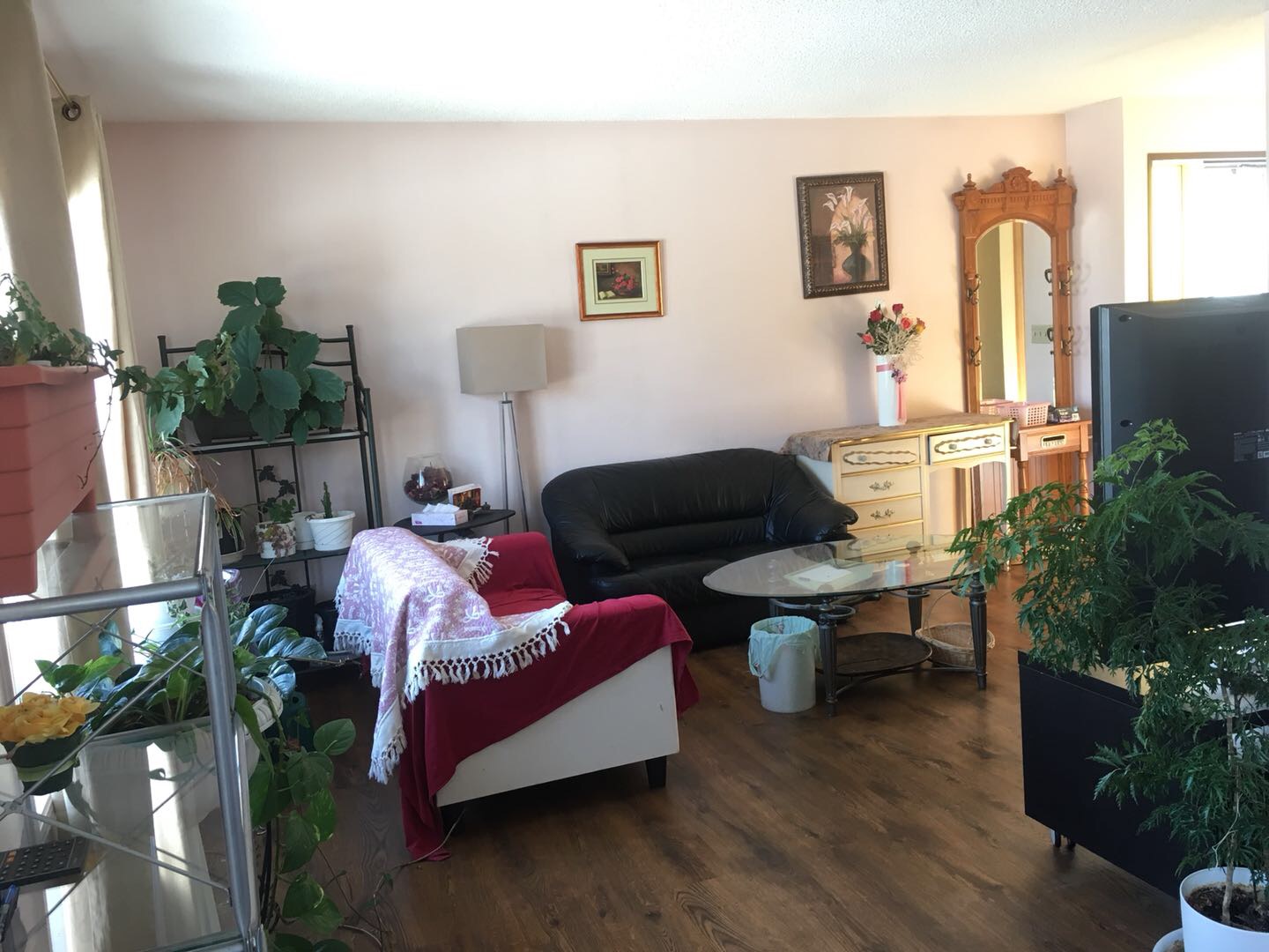 中央街Huntington 独栋出租 - 3