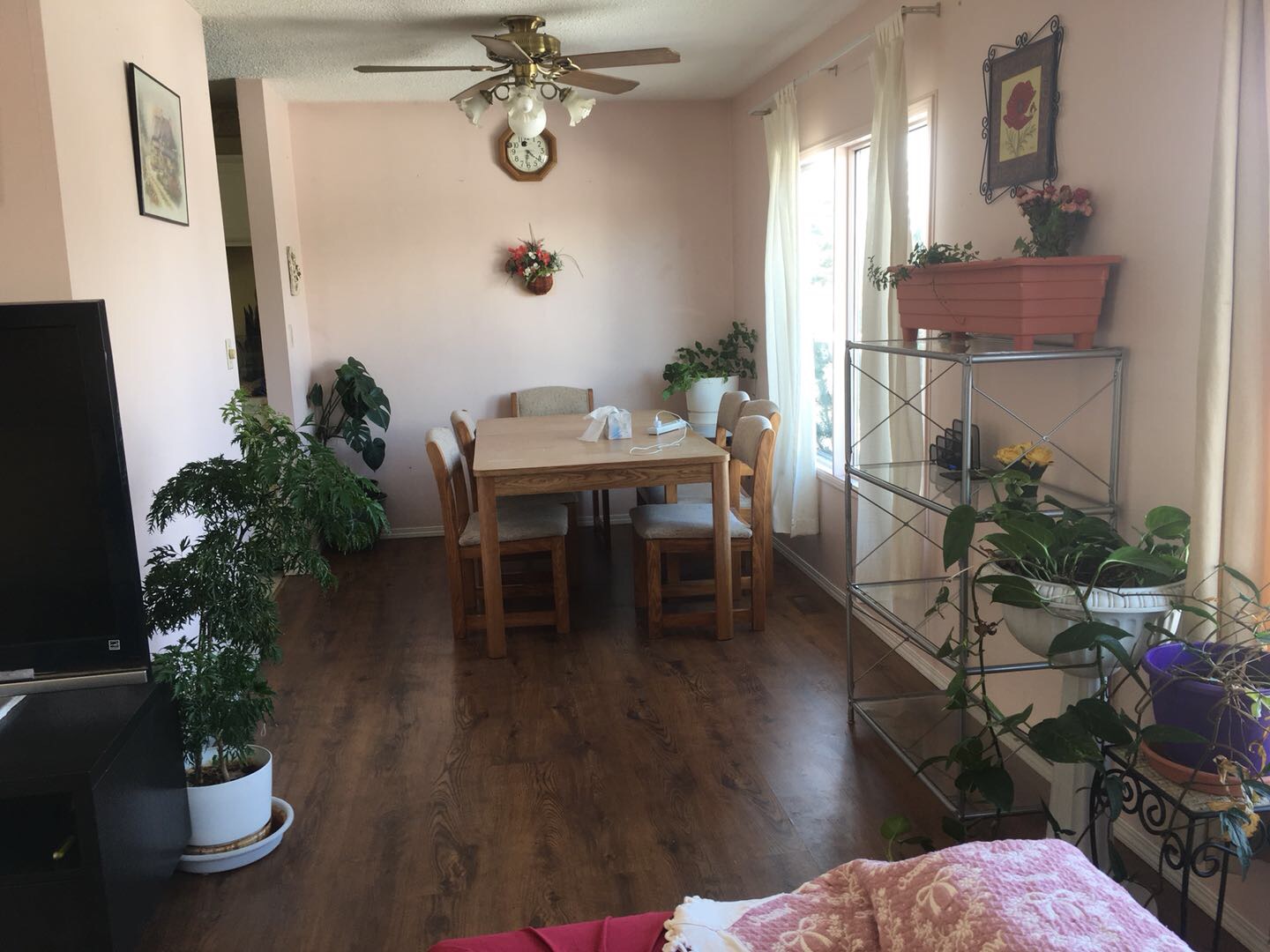 中央街Huntington 独栋出租 - 4