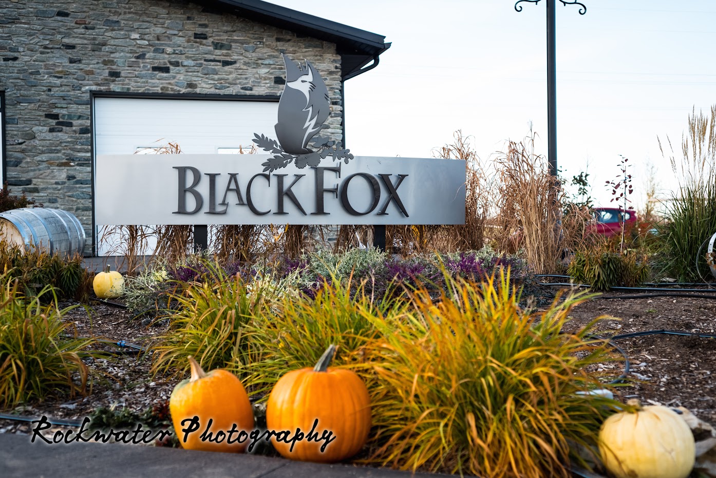 Black Fox Farm & Distillery--摘鲜花和南瓜！