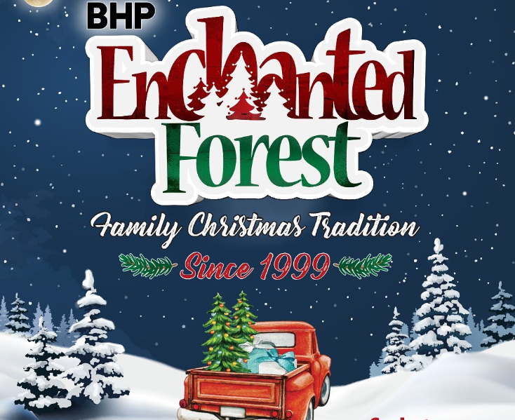 欢迎来到BHP魔法森林和免费的2706 Clinkskill Christmas Lights！