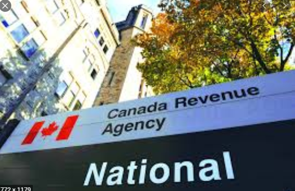 【4月14日线上讲座】海外资产审计, 税务局要求提供哪些证据?