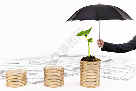 【9月13日】线上讲座：资产保护，遗产规划和家族信托