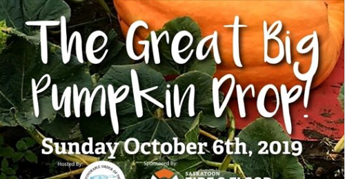 10月6日 不要错过大南瓜