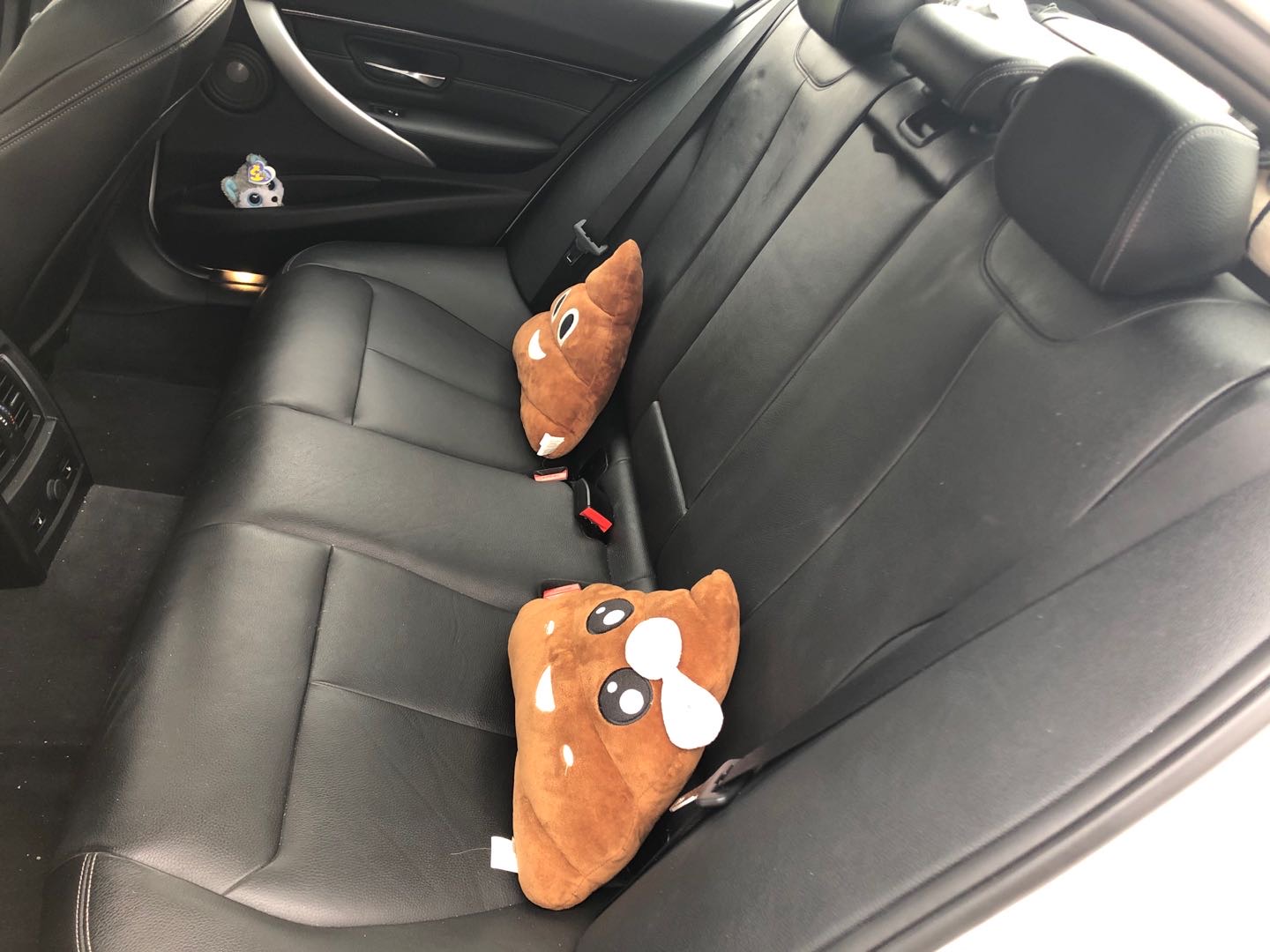 2016 BMW 340i M package 顶配 - 4