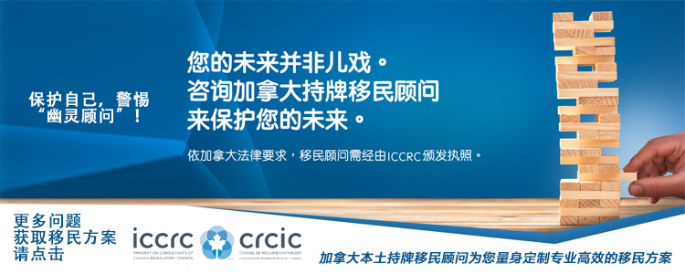 一键获取移民方案