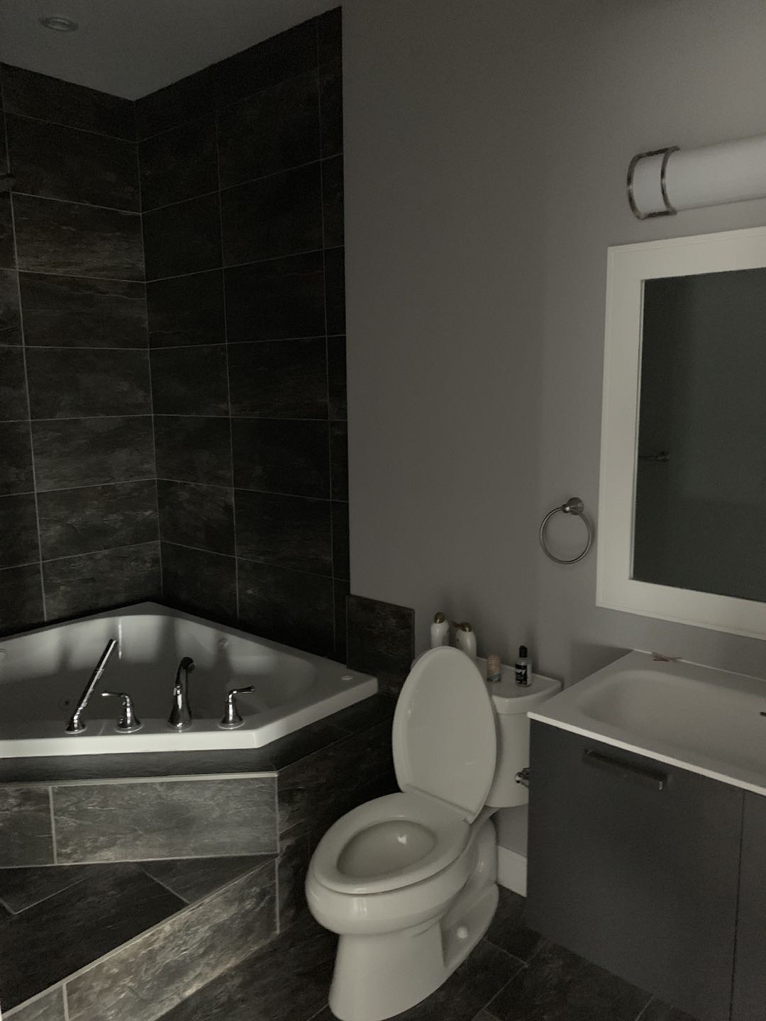 willowgrove 4 卧 豪华 condo 出租 - 6