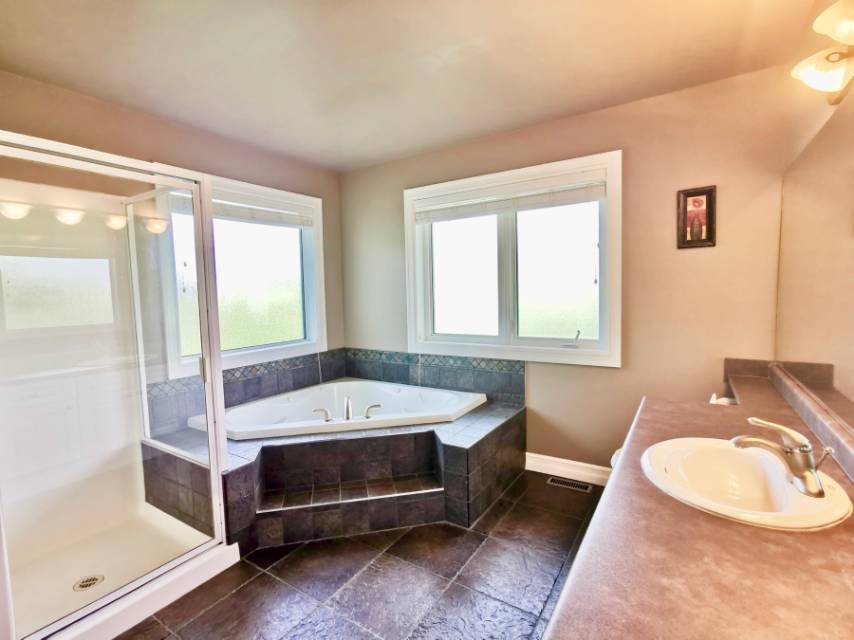 Arbor Creek 2190尺大户型独立屋出售~林与唐地产团队 - 7