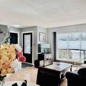 林与唐地产团队，Erindale学区独栋出售！ - 4