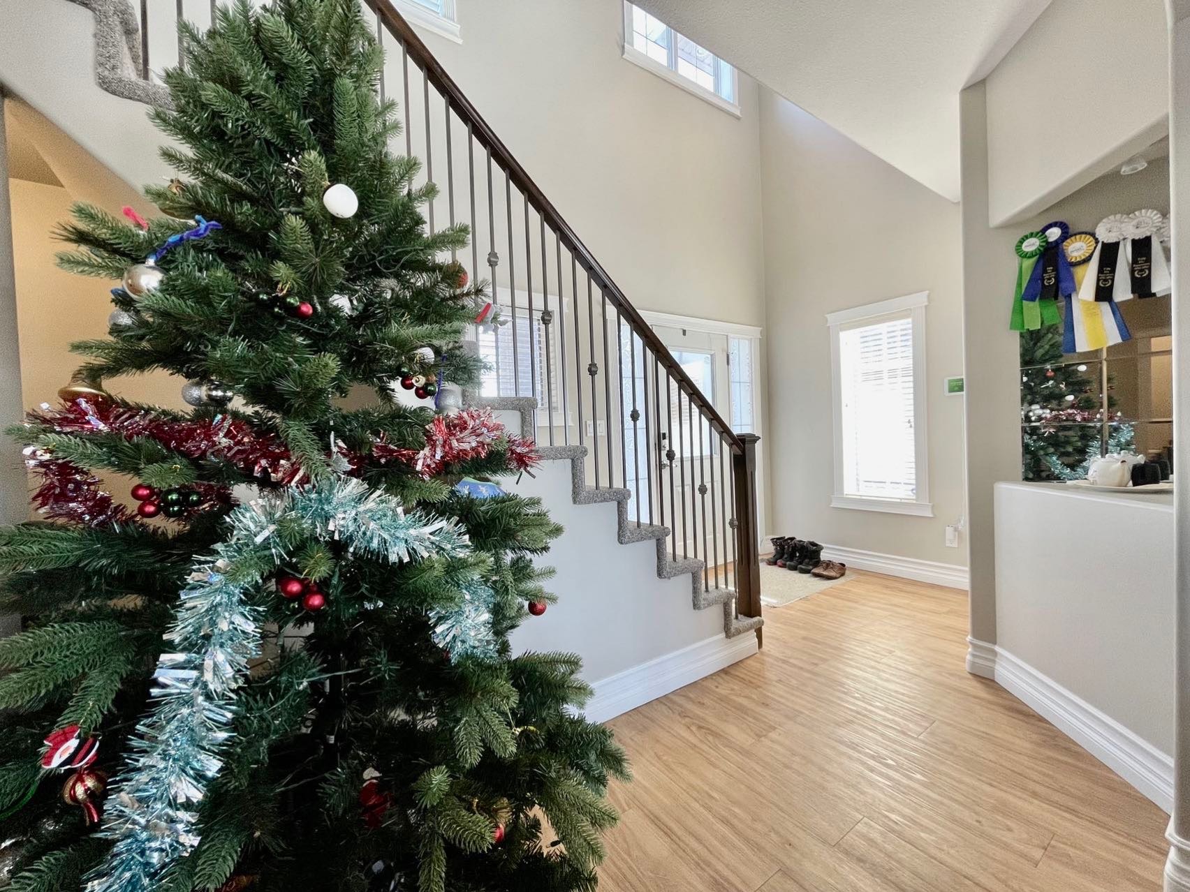 【林与唐地产】萨屯房源出售：Willowgrove社区, 背靠绿地，夏天孩子散步到Willowgrove小学 - 3