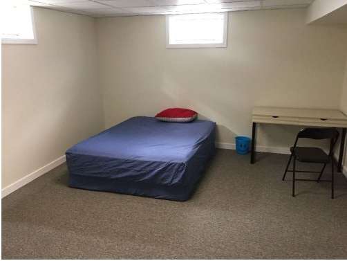 出租离大学步行五分钟的地下室 - 5