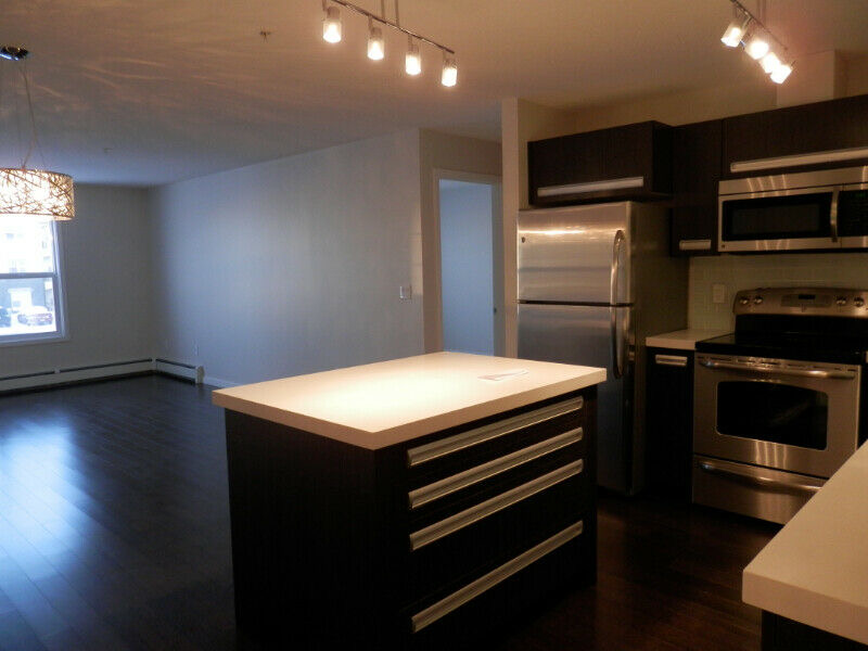 2 Bedroom Condo for Rent - $1350.00