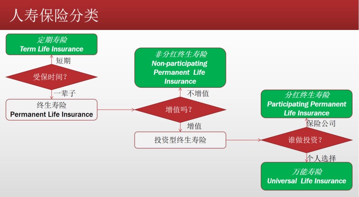 加拿大寿险有哪些？都免税吗？
