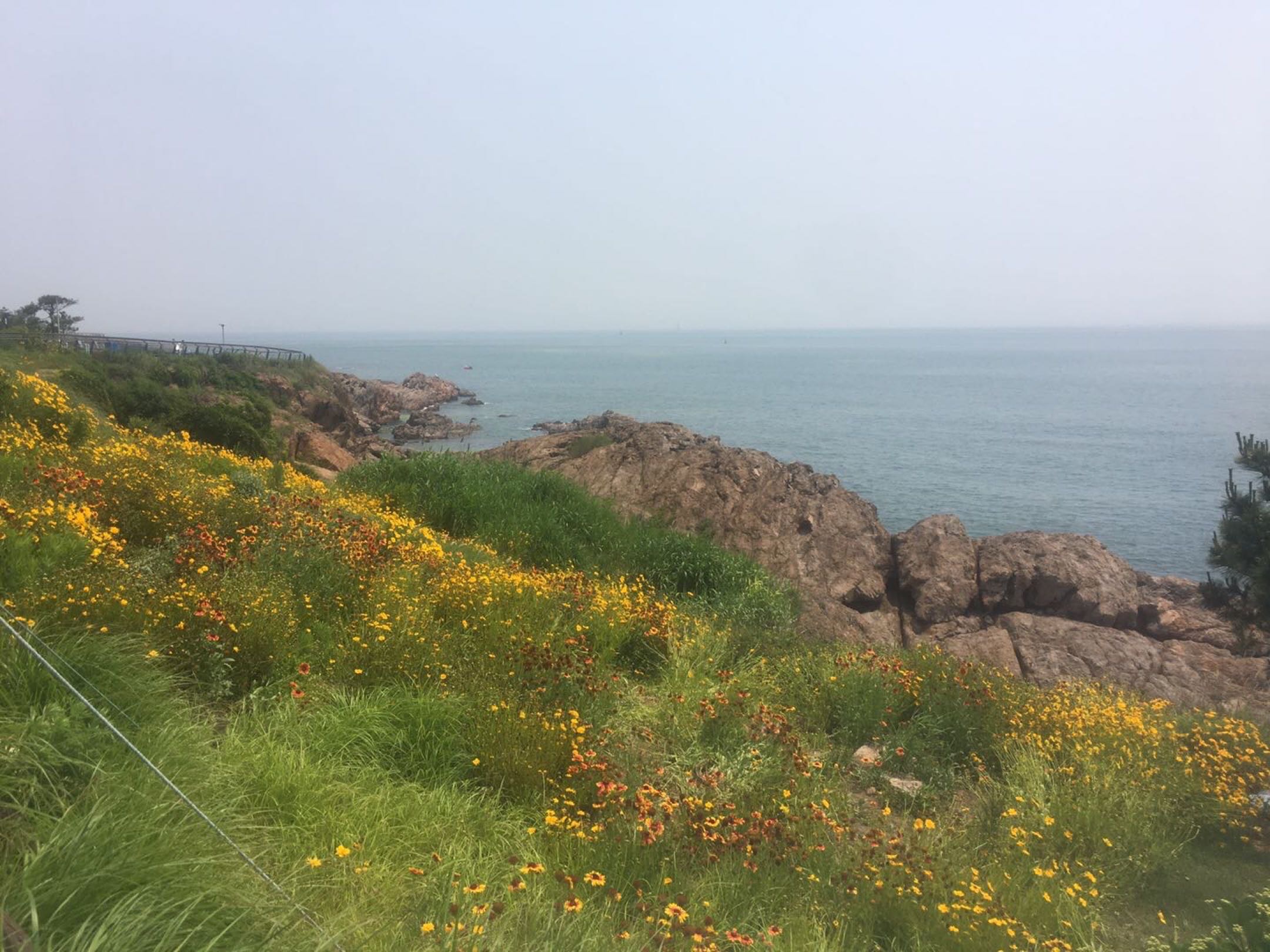 求租两间卧室的整层