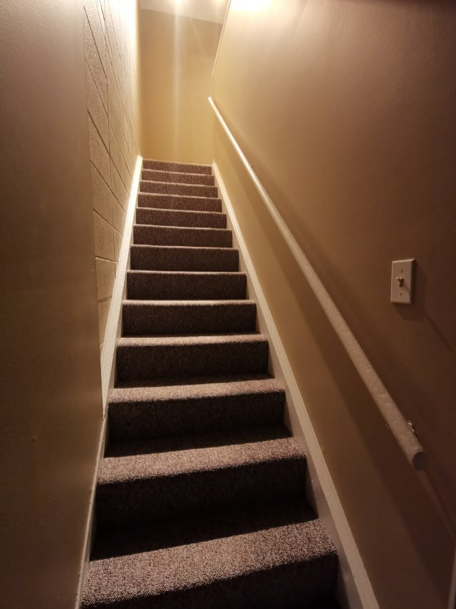 Vista Heights区，Calgary近市区交通超方便好房寻可靠租客 - 7