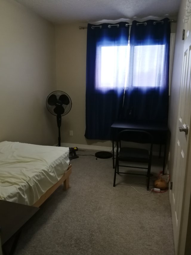 里贾那大学旁公寓找室友