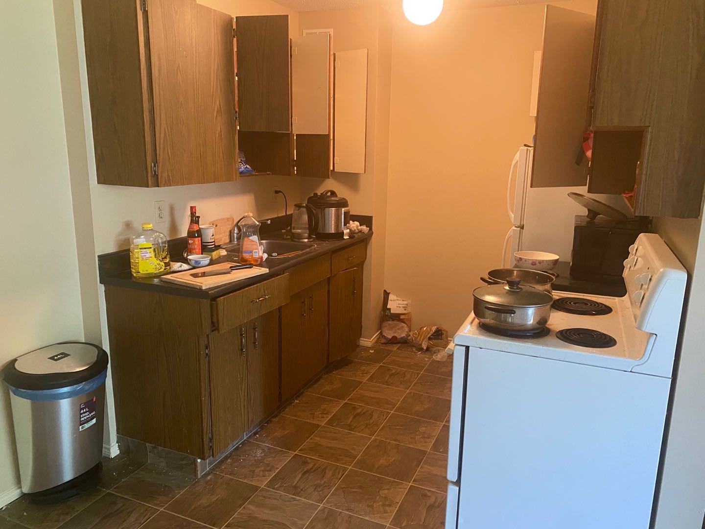 Regina 里贾纳 boardwalk房屋出租 - 3